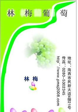 果品蔬菜 名片模板 CDR_0024