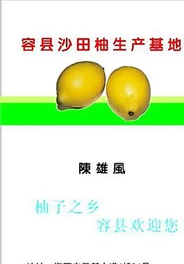果品蔬菜 名片模板 CDR_0025