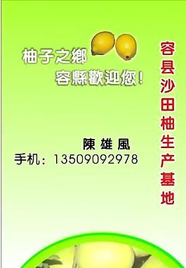 果品蔬菜 名片模板 CDR_0027