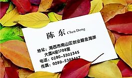 個(gè)性色彩 名片模板 CDR_0015