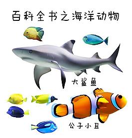 百科全書之海洋動(dòng)物矢量元素合集