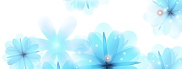 藍(lán)彩花