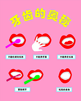 牙齿的奥秘