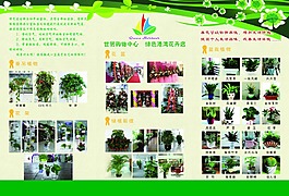 綠植花卉宣傳頁