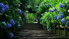 高清背景 素材 淘寶背景