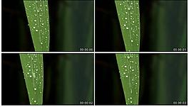 水滴視頻素材