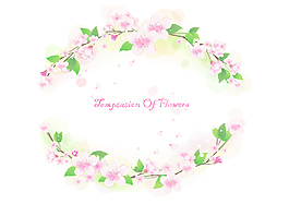 花紋素材設(shè)計(jì)