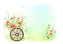 花邊 花紋