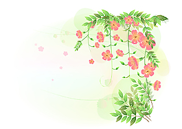 花邊 花紋