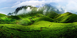 背景 海報(bào) 森林 桌面 淘寶素材