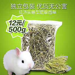 兔草主圖
