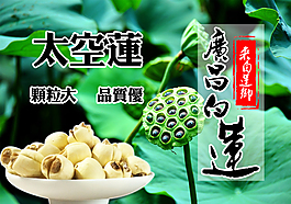 淘寶詳情廣昌白蓮太空蓮
