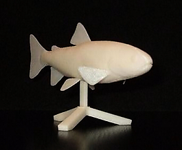 彩虹鱒魚3D打印模型