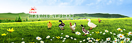 綠色養殖