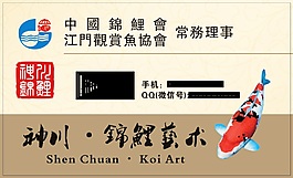 錦鯉名片模板