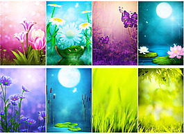 梦幻花朵背景