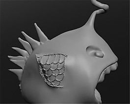 殼魚3D打印模型