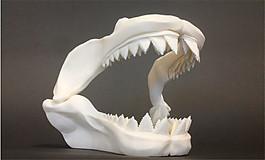 恐龙齿骨3D打印模型