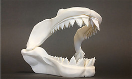 恐龍齒骨3D打印模型