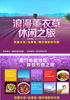 薰衣草節(jié)DM宣傳單圖片