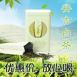 綠茶白茶促銷直通車海報(bào)
