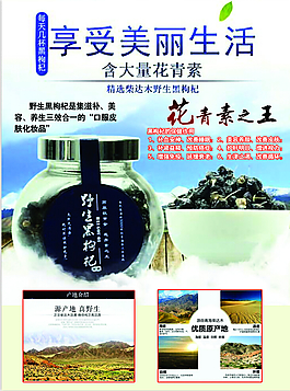 花青素知網(wǎng)