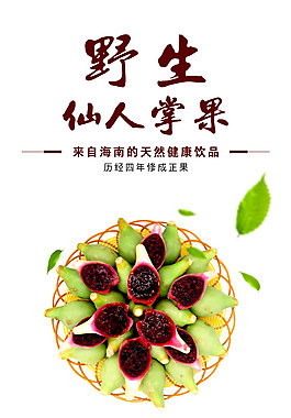 仙人掌果詳情頁