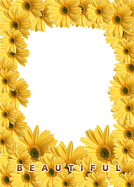 菊花相冊psd分層素材