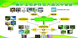 保護生物展板圖片