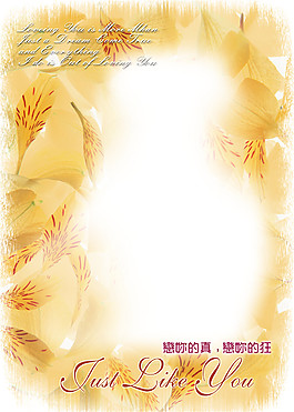 花邊psd分層素材