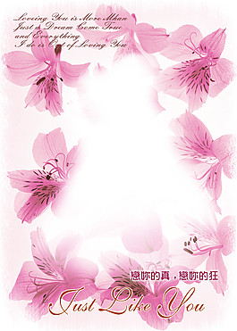 花瓣psd分層素材