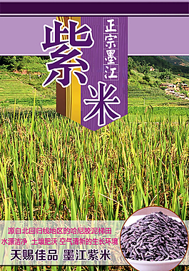 墨江紫米包裝主圖