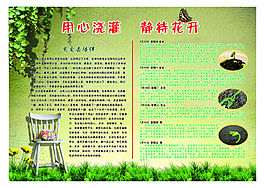 植物生長過程