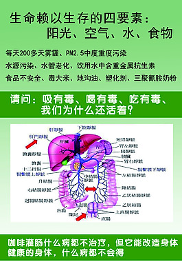 肝門(mén)靜脈宣傳展架