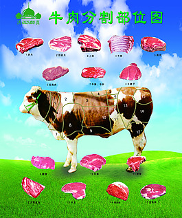 牛肉分割圖
