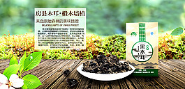 黑木耳食品