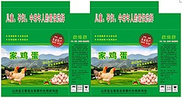雞蛋展開包裝盒