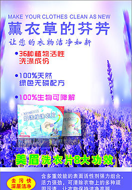 薰衣草