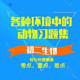 學(xué)習(xí)課程主圖直通車海報(bào)設(shè)計(jì)