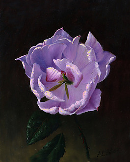 玫瑰花