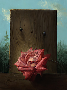 玫瑰花