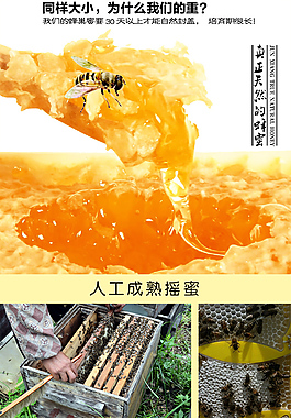 淘寶 蜂巢蜜 詳情