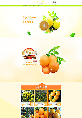 柑橘首頁