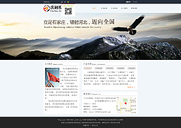 網(wǎng)站首頁模板