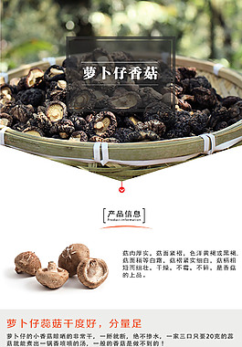 香菇詳情圖