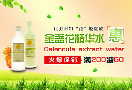 金盏花促销海报
