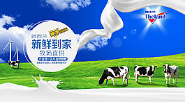 年中大促【牛奶】