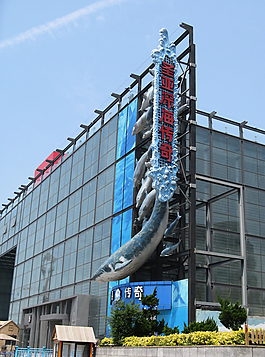 圣亞深海傳奇圖片