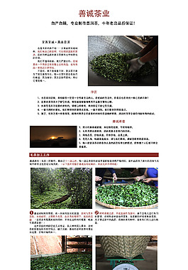 品牌故事