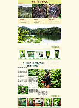 茶首頁